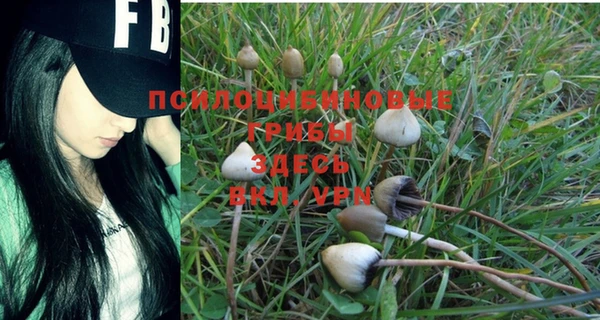 спайс Лиски